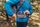 Facet 35 RC XS