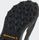 Terrex Winter Mid Boa Hiking Shoes