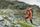 Hiker II M OD Pants