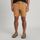 Vander LT MNS Shorts