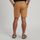 Vander LT MNS Shorts