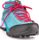 WS Alpenviolet K