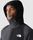 Mens AO Softshell Hoodie
