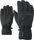 Glyn GTX + Gore Plus Warm Glove Ski Alpine