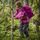 Lilletind V2 Light Softshell Kids Pants