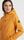 Spire Softshell Jacket