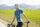 Women Bike Jersey Full Zip Hotbond