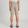 Flight Wmns Shorts V2