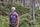Merino Lightweight