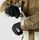 Mens Goldmill Insulated Jacket