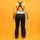 Y Mountainline Bold 3L Shell Bib Pants Women