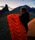 Insulated V Ultralite SL Sleeping Pad
