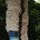 Sequence M Pant