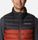 Powder Lite Vest