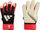 Predator Match Fingersave Goalkeeper Glove