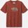 Mount Echo Short Sleeve Graphic Shirt
