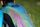 Iridescent Reflective