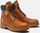 Mens 6 Inch Premium Boot