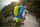 Carbonium ALP Speed Poles