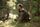 Hiker II Drymaxx Shell Jacket Men's