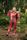 Loiste W Training Tights
