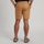 Vander LT MNS Shorts