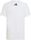 Mercedes - AMG Petronas Formula 1 Team DNA Graphic Tee