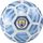 Mcfc Fan Ball