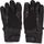 Peak GTX Gloves Ski Glove