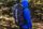 Facet 35 RC XS
