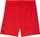 Fcsp Shorts Replica