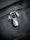 Aviant Access Pro 55 SL