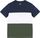 Color Block Crew Neck Piquet Shirt