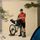 Hoja Handlebar Rolltop