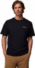 black, shining sandscape (011)