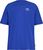 bright cobalt (8777)
