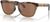 brown tort/brown smoke/prizm tungsten polar (928407)