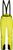 sulphur spring yellow (C41)