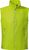lime pop (6005)