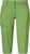 dill (6260)