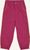 raspberry (222000)