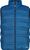 petrol (L931)