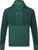 pine/fern (ME-01849)