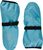 delphinium blue (891)