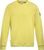 karson yellow (1488)
