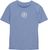 coronet blue (854)