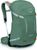 pine leaf green (461)