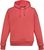 robin pink (1469)