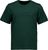 pargasite green (1467)