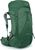 koseret/darjeeling spring green (546)